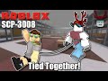 3008 BUT WE ARE TIED TOGETHER! | Roblox SCP-3008