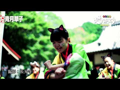 青月草子 かんなみ猫おどり 公式 Youtubeチャンネル Youtube
