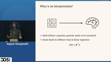 Rajesh Ranganath | Developing the mathematical foundations of explainability ... | CGSI 2025