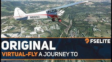 The Journey to Virtual Fly: The FSElite Original