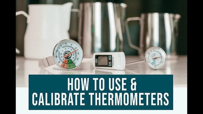 How to Properly Use a Meat Thermometer - How to Read Dial, Probe & Digital  Thermometers