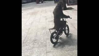monyet tabrak pohon #monkey #monyetsableng #careless rider #shorts