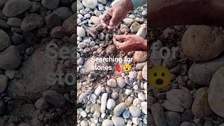 searching stones-Amazing breaking stones  rock hounding? rockhounding ⚒youtubeshorts  gemsasmr