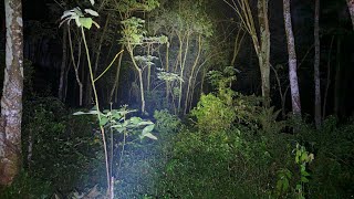 Live Misteri‼️Gawat... Lokasi Pasar Setan Di Sabotase Haters Ngajak Adu Ilmu