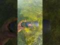 Jbl bass water me essential2 test jump