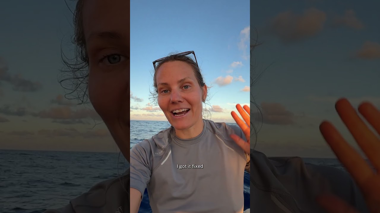 ⁣Day 5 of sailing from the Caribbean to France and the engine had some thoughts