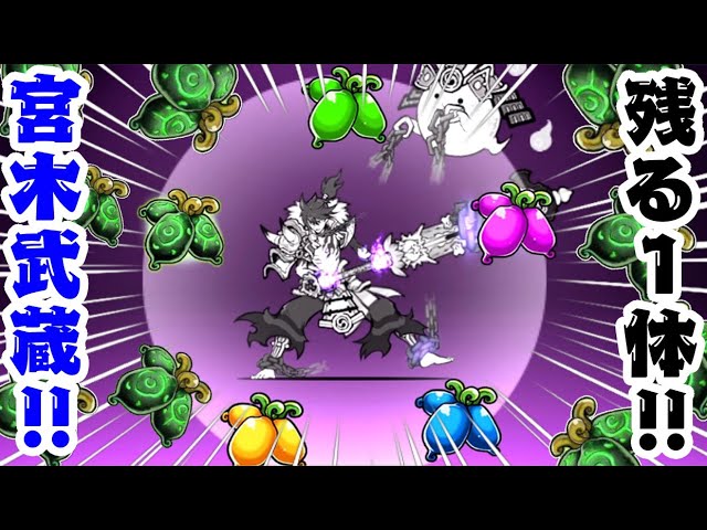 Mobile version live commentary] I will evolve Miyagi Musashi into