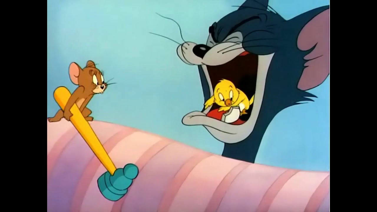 tom and jerry get cheated｜TikTok Search