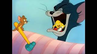 The cartoon starts with a canary named cuckoo in his birdcage,
watching cat and mouse chase each other. tom attempts to smash jerry
broom, but...