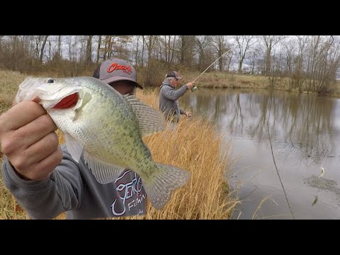 Bank Crappie Fishing - YouTube