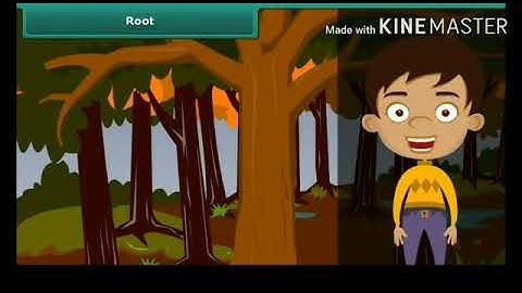 MLZS JHANSI CLASS 6 Science Chapter 7 Getting to Know Plants Lecture 1