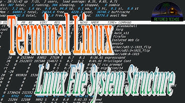Terminal Linux File System Overview