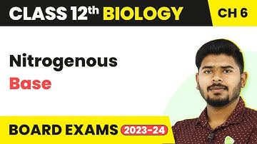 Class 12 Biology Chapter 6 | Nitrogenous Base - Molecular Basis of Inheritance (2022-23)