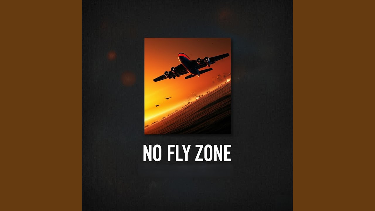 NO FLY ZONE story cover