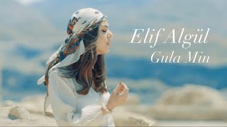 Elif Algül - Gulam Nava Newale [ Video] Resimi