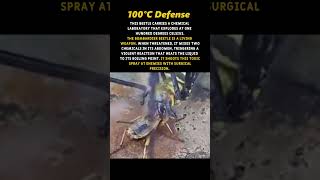 100°C Defense