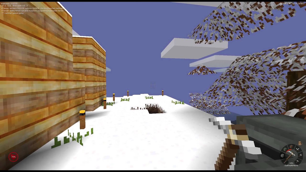 In eigener Sache: Holarse Voxelands Server