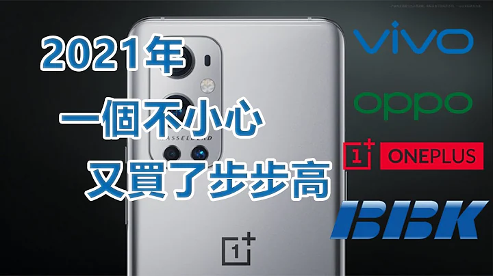 OnePlus、OPPO、Vivo、Realme、iQOO，其实都是“同一家公司” | 说说“段菲特”和他的步步高帝国 - 天天要闻