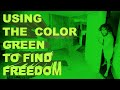 Finding Freedom Through the Color Green - David Choe - The Choe Show Podcast