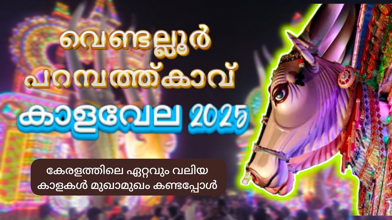 വെണ്ടല്ലൂർ പറമ്പത്ത്കാവ് കാളവേല 2025 | കേരളത്തിലെ ഏറ്റവും വലിയ കാളകളുടെ സംഗമം