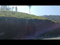 Kuttikanam Tea Gardens Idduki @kuttikanampropertyhub