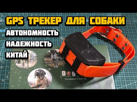 GPS ошейник с трекером для вашей собаки