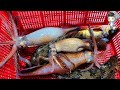 Assorted Seafood Sashimi Songdo Fish Market Pohang Korea 포항 송도 활어회센터 해물모듬회 13 etc