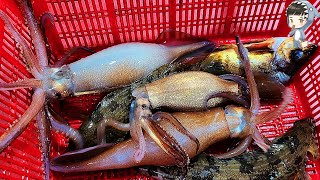Assorted Seafood Sashimi Songdo Fish Market Pohang Korea 포항 송도 활어회센터 해물모듬회 13 etc