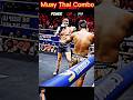 Muay Thai Kick Combos #usa #sports #india #viralshorts