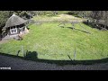 Farm animals protect chicken friend from hawk attack  dogtooth media