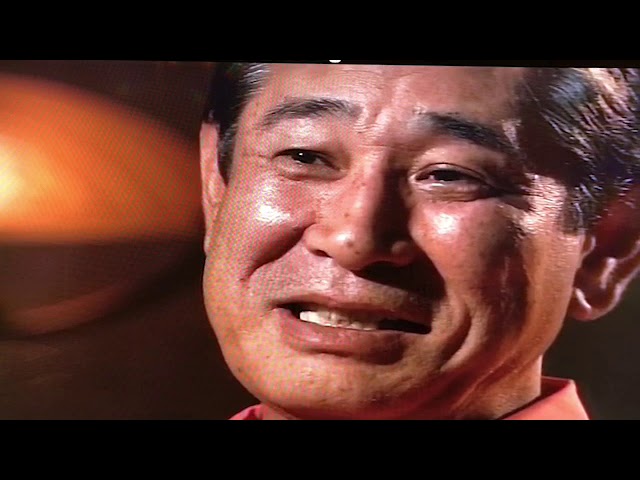 和田豊　日本新記録［開幕24試合連続安打］記念球1997.5.3 開幕からの連続試合安打 : 野球の記録で話したい