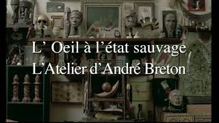 Latelier Dandré Breton, Lœil À Létat Sauvage Bande - Annonce Officielle