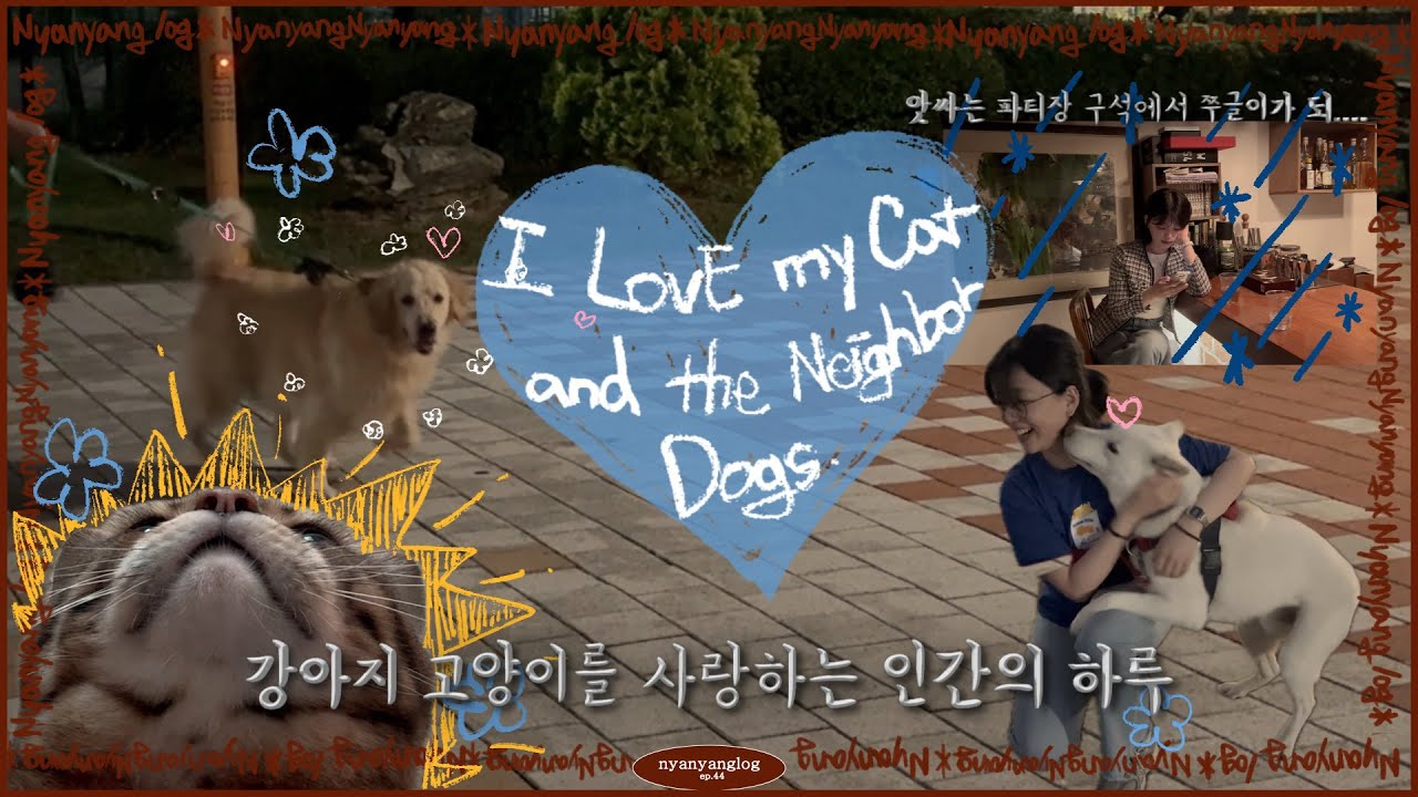 강아지랑 고양이 덕후의 행복한 하루 🐾 (삼청동 한옥바, 결혼식 파티, 가방 득템까지)