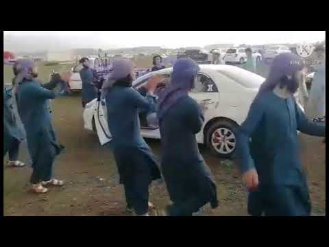 خوش نصیب شاعر مسکین وزیر