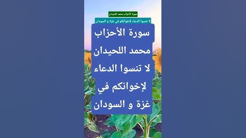 سورة الأحزاب محمد اللحيدان #المصحف #duet   #قران_كريم #تيك_توك #حالات_واتس #لايك #ترند #اكسبلور
