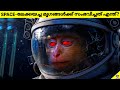 Sad Story Of Animals Sent To Space | What Happened To These Animals? | Facts Malayalam | 47 ARENA