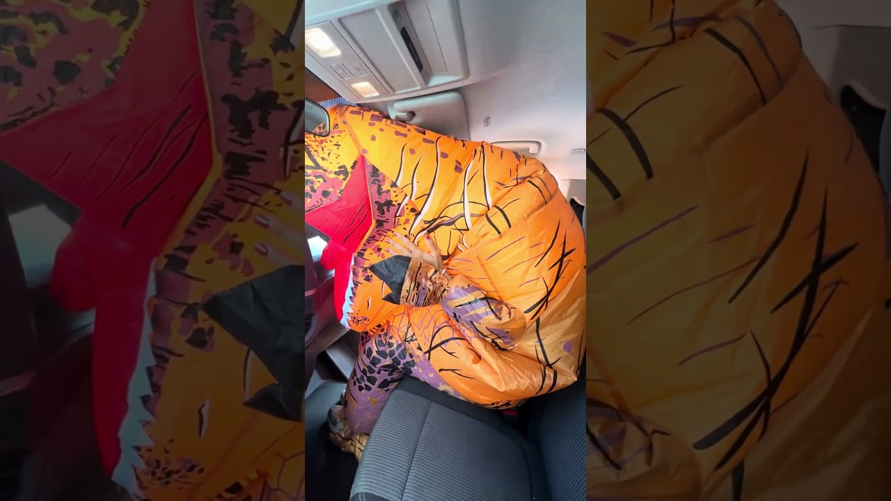 Rawr!🦖 Der Dino war im Frauen Trainingslager fester Bestandteil😄
