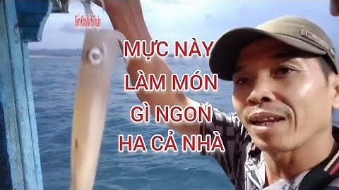 Câu Mực Giải Trí Ngày Cuối Tuần Trên Vùng Biển Mũi Dinh Sơn Hải