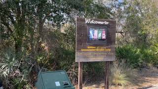 Exploring Brooker Creek Preserve🌿🌳#hiking #nature #pinellascounty #parks #florida #beauty #alligator