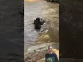 Baby Elephant Has a Pool Party with Mama 💖🐘#babyelephant #elephant #elephantlove #cutebaby #cutiepie