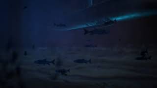 Under Water Scene Made In Adobe After Effects