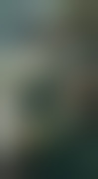 Geger geden penonton TSM (turonggo singo mudo) pada saling pukul #tsm #barongan #shorts