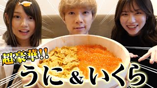 【大食い】超豪華！ご飯の上にうにといくら1kg乗せて食べ切るまで帰れません！！！