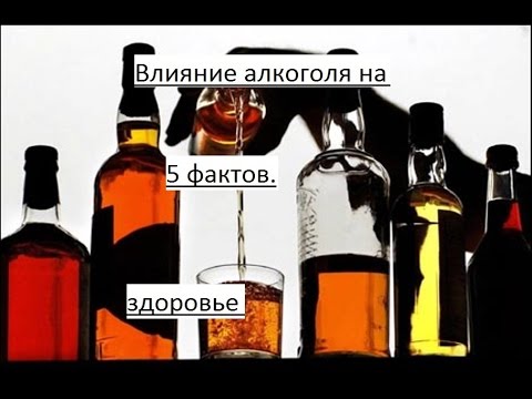 5 интересных фактов "Влияние алкоголя на здоровье".