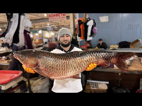 Vídeo: Barracuda - el peix és molt diferent