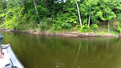 Fly Fishing for Summer Smallmouth