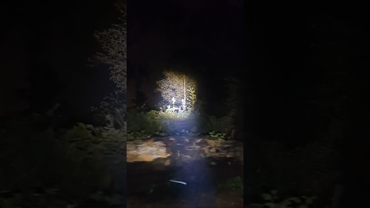 Let's go into the woods tonight #creepy #woods #spooky #ghosthunting #paranormal #paranormalactivity