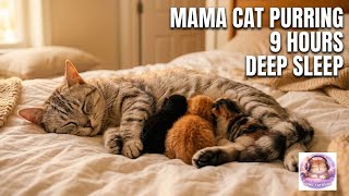 Mama Cat Purring with Newborn Kittens All Night | 9 Hours Deep Sleep Sounds
