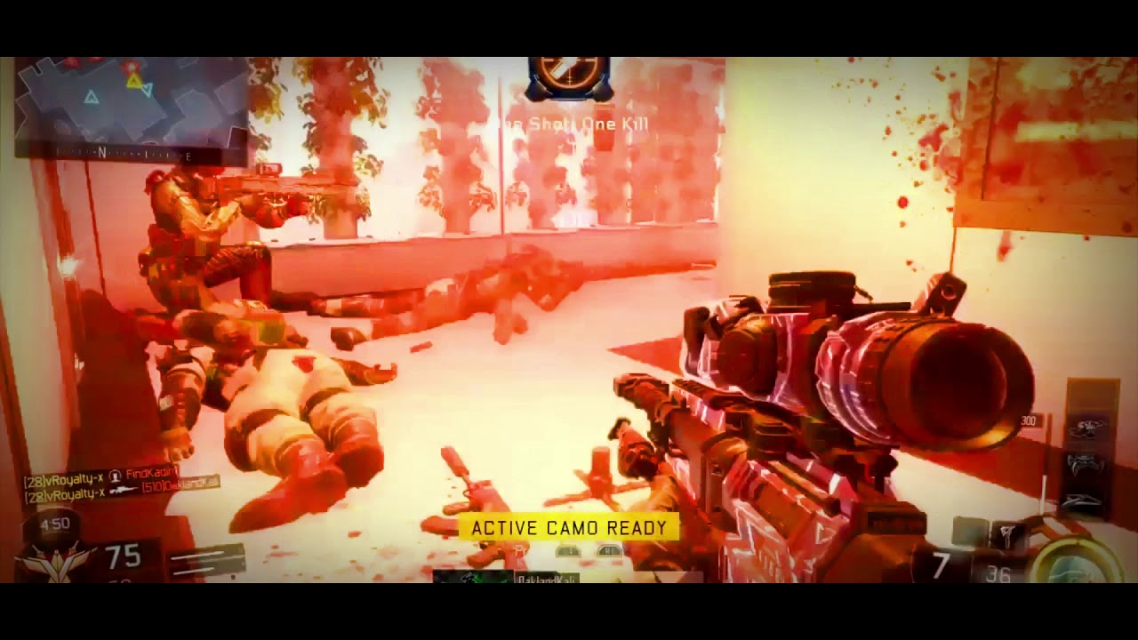 BO3 Montage (The Real Royalty)