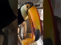O Segredo Mais Triste dos Tucanos… 😳🦜 #shorts #animais #viral